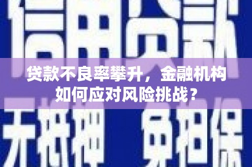 双河贷款不良率攀升，金融机构如何应对风险挑战？