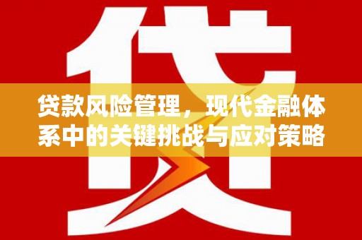 双河贷款风险管理，现代金融体系中的关键挑战与应对策略