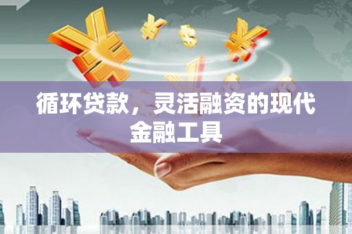 双河循环贷款，灵活融资的现代金融工具
