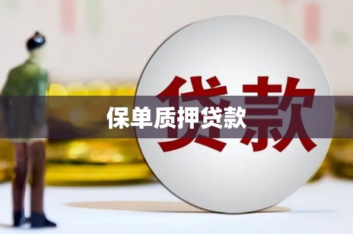 双河保单质押贷款