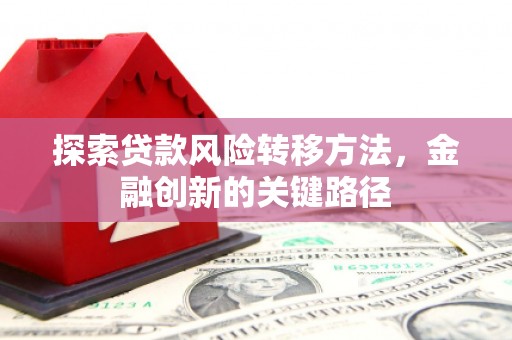 双河探索贷款风险转移方法，金融创新的关键路径