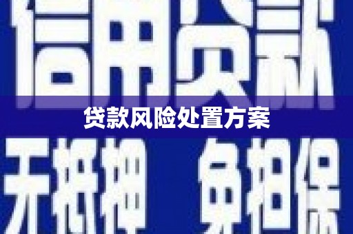 双河贷款风险处置方案