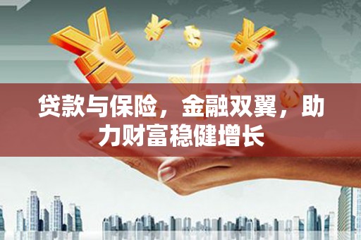 双河贷款与保险，金融双翼，助力财富稳健增长