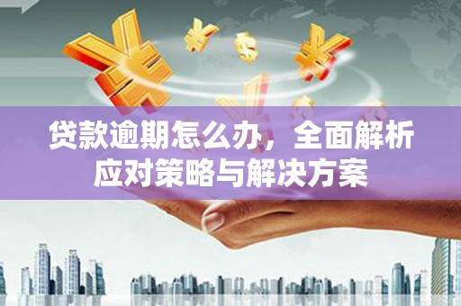 双河贷款逾期怎么办，全面解析应对策略与解决方案