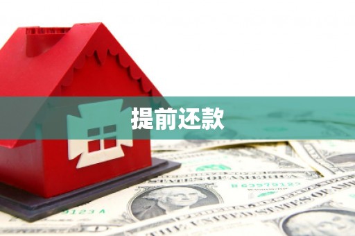 双河提前还款