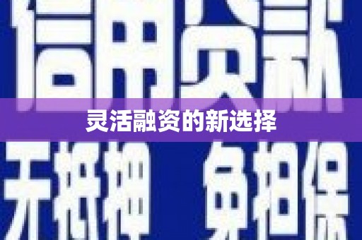 双河灵活融资的新选择