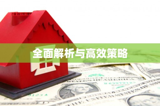 双河全面解析与高效策略