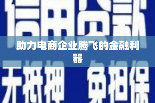 双河助力电商企业腾飞的金融利器