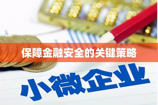 双河保障金融安全的关键策略