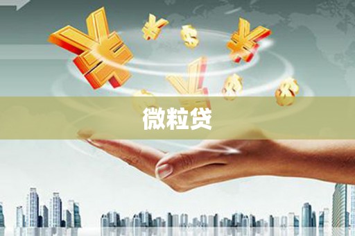 双河微粒贷