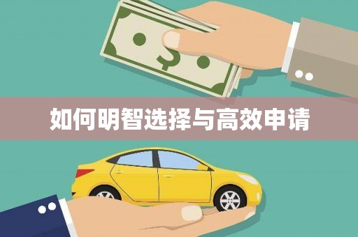 双河如何明智选择与高效申请