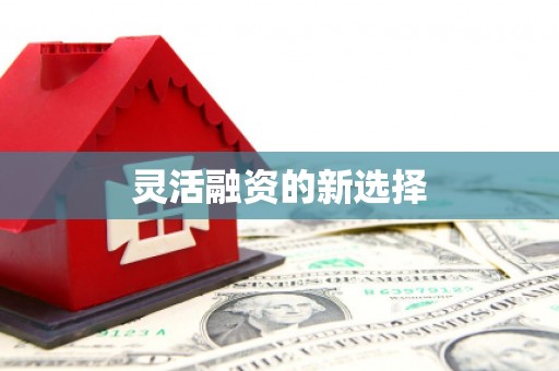 双河灵活融资的新选择