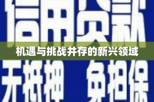 双河机遇与挑战并存的新兴领域