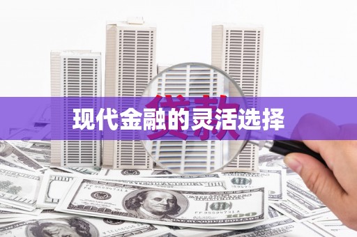 双河现代金融的灵活选择