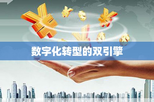 双河数字化转型的双引擎