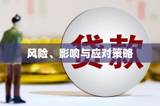 双河风险、影响与应对策略