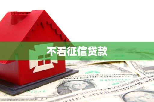 双河不看征信贷款