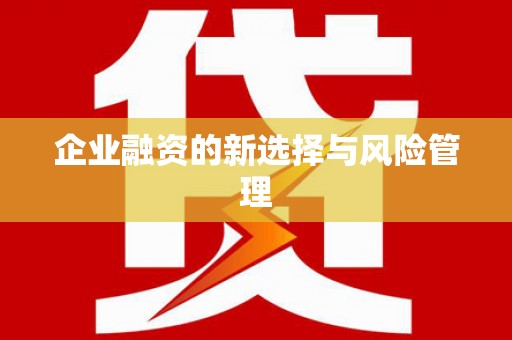 双河企业融资的新选择与风险管理