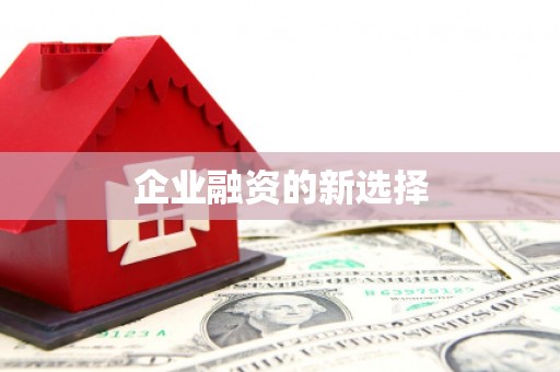 双河企业融资的新选择