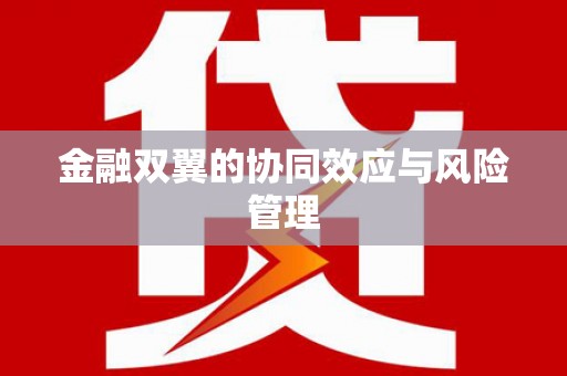 双河金融双翼的协同效应与风险管理