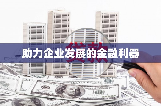 双河助力企业发展的金融利器