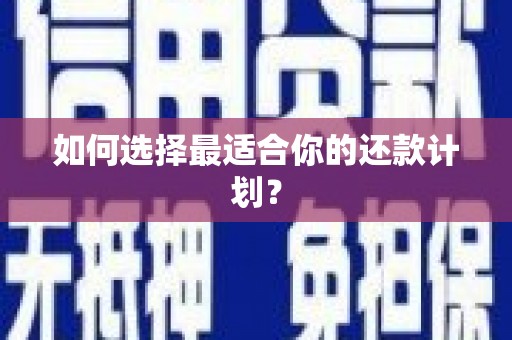 双河如何选择最适合你的还款计划？