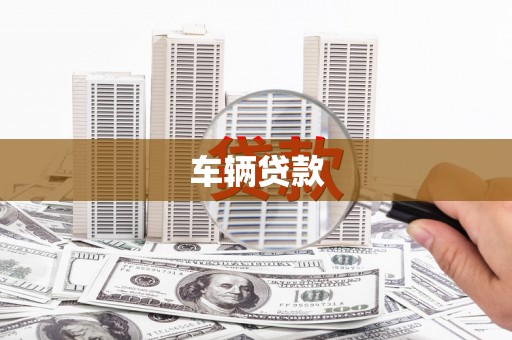 双河车辆贷款