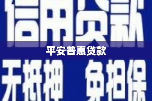 双河平安普惠贷款