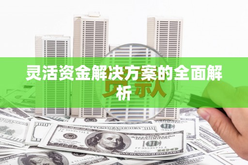 双河灵活资金解决方案的全面解析