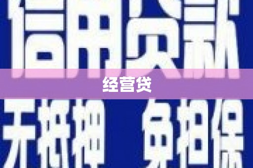 双河经营贷