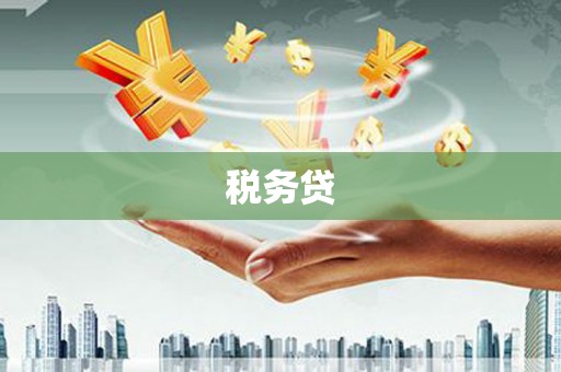 双河税务贷