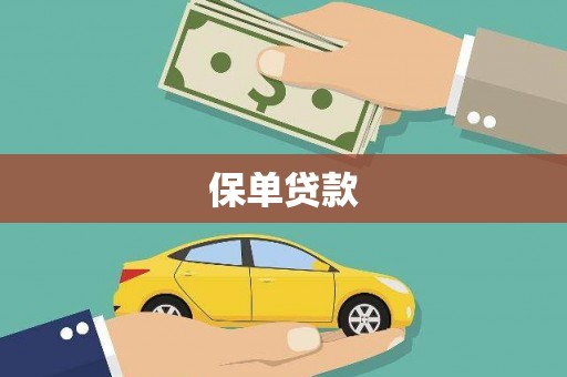 双河保单贷款
